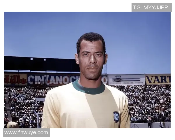 从贫困到顶峰 足球球星背后的艰辛奋斗与财富逆袭