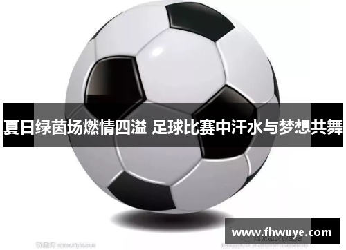 夏日绿茵场燃情四溢 足球比赛中汗水与梦想共舞