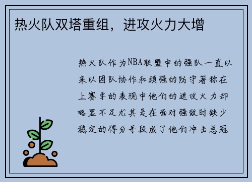 热火队双塔重组，进攻火力大增
