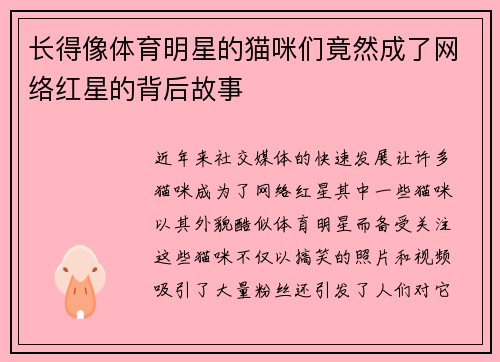 长得像体育明星的猫咪们竟然成了网络红星的背后故事